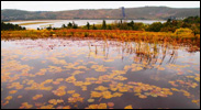 knysna-guest-house-cottage-07