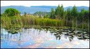 knysna-guest-house-cottage-08