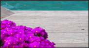 knysna-guest-house-poolhouse-01