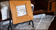 knysna-guest-house-poolhouse-13