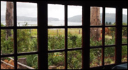 knysna-guest-house-shed-08