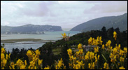 knysna-guest-house-shed-15
