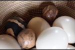 narnia-eggs