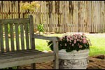 narnia-garden